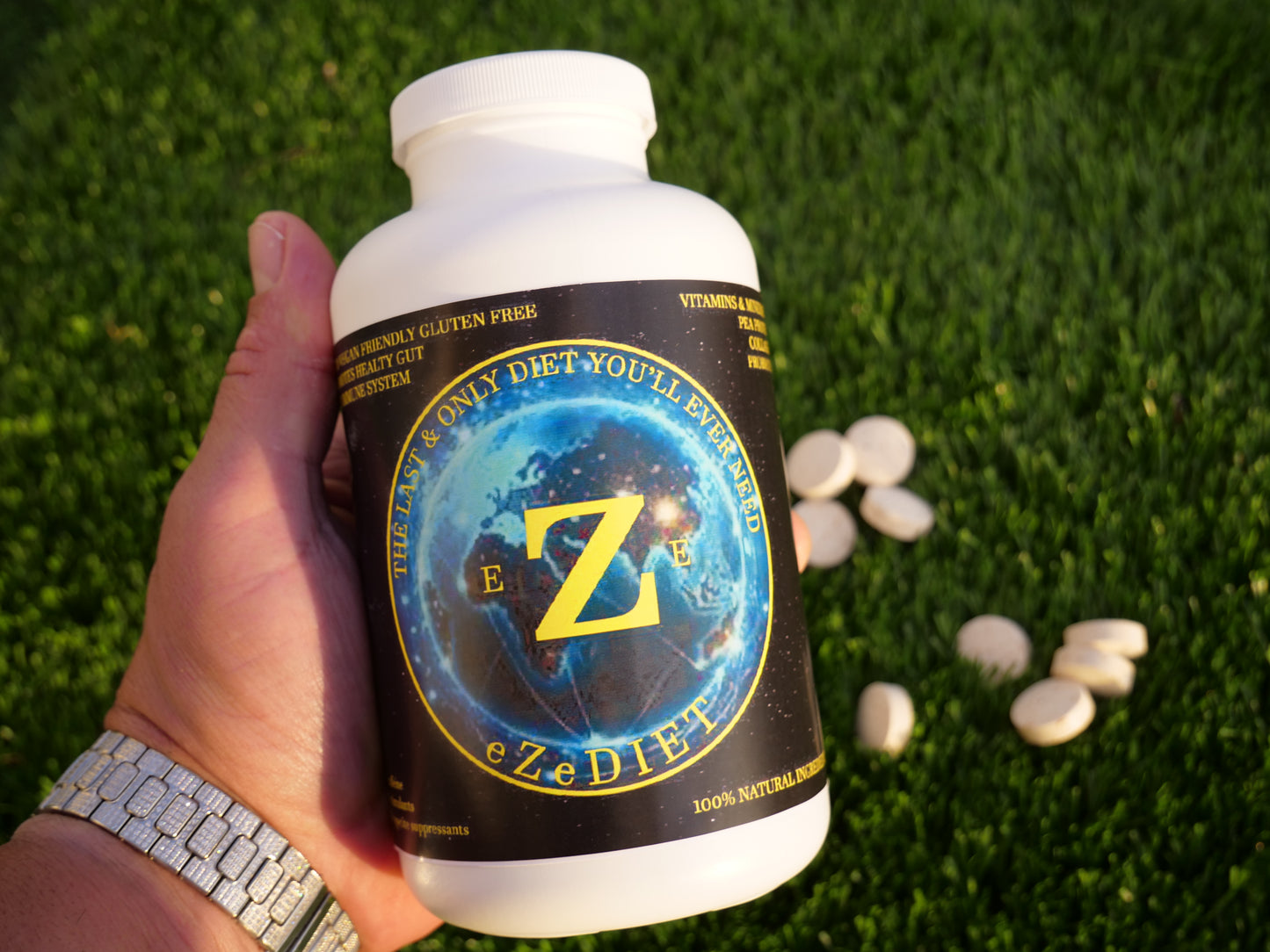 eZe DIET Weight and Wellness Management System